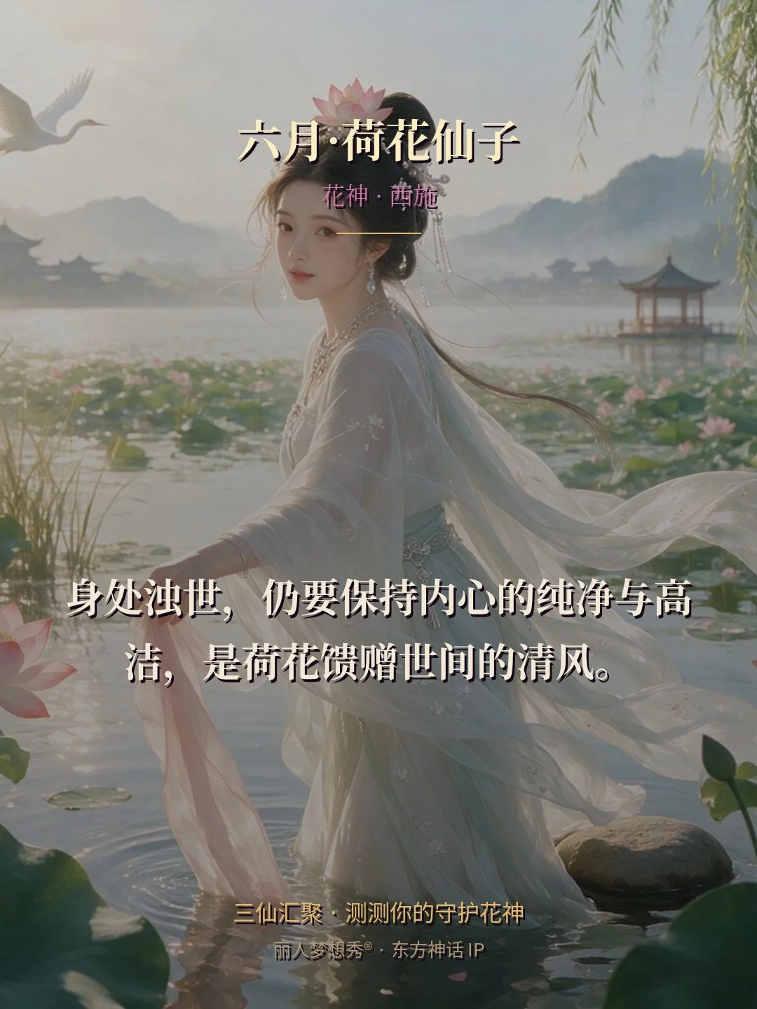 六月·荷花仙子 金句卡