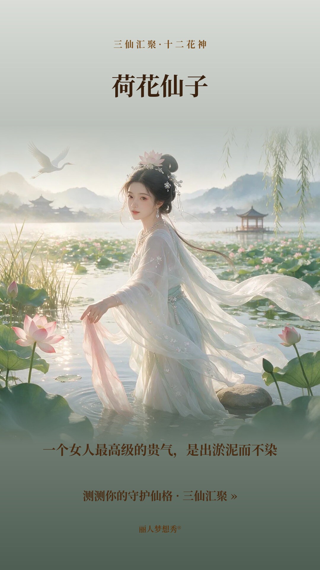 荷花仙子小红书封面